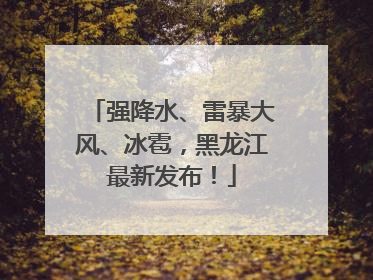 强降水、雷暴大风、冰雹，黑龙江最新发布！
