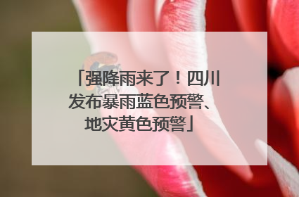强降雨来了！四川发布暴雨蓝色预警、地灾黄色预警