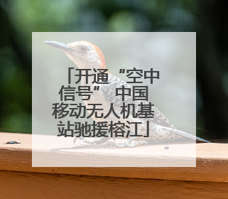 开通“空中信号” 中国移动无人机基站驰援榕江