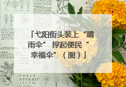 弋阳街头装上“晴雨伞” 撑起便民“幸福伞”（图）