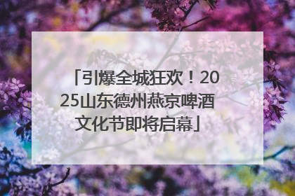 引爆全城狂欢！2025山东德州燕京啤酒文化节即将启幕