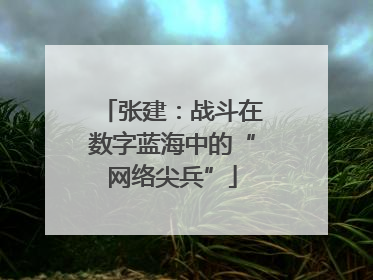 张建：战斗在数字蓝海中的“网络尖兵”