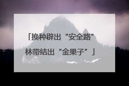 换种辟出“安全路” 林带结出“金果子”
