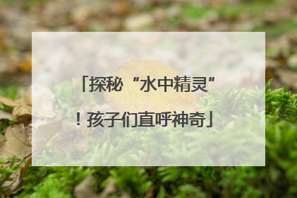 探秘“水中精灵”！孩子们直呼神奇