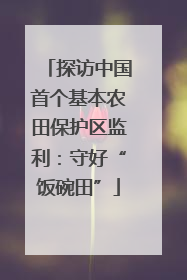 探访中国首个基本农田保护区监利：守好“饭碗田”