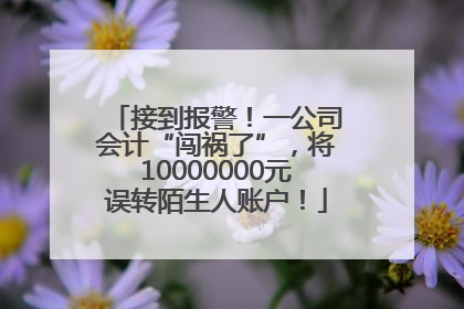 接到报警！一公司会计“闯祸了”，将10000000元误转陌生人账户！