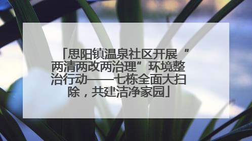 思阳镇温泉社区开展“两清两改两治理”环境整治行动——七栋全面大扫除，共建洁净家园