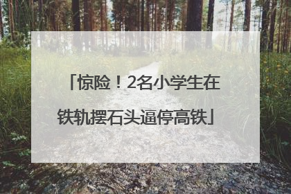 惊险！2名小学生在铁轨摆石头逼停高铁