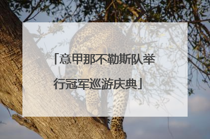 意甲那不勒斯队举行冠军巡游庆典