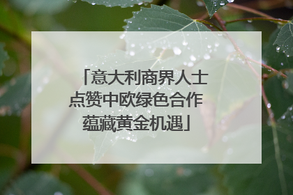 意大利商界人士点赞中欧绿色合作蕴藏黄金机遇