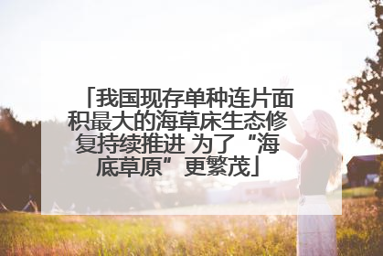 我国现存单种连片面积最大的海草床生态修复持续推进 为了“海底草原”更繁茂