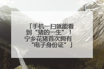 手机一扫就能看到“猪的一生”！宁乡花猪首次拥有“电子身份证”
