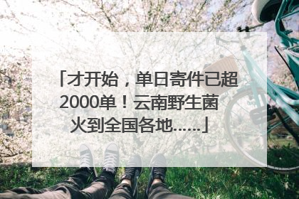 才开始，单日寄件已超2000单！云南野生菌火到全国各地……