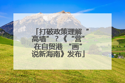 打破政策理解“高墙”？《“营”在自贸港 “画”说新海南》发布