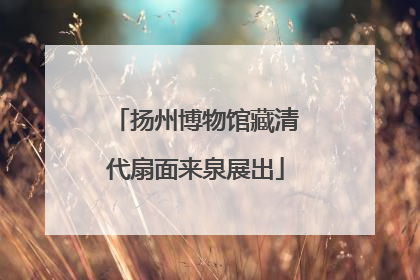 扬州博物馆藏清代扇面来泉展出