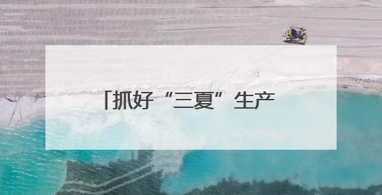 抓好“三夏”生产 保障粮食安全！平顶山市麦收基本完成