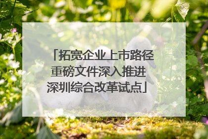 拓宽企业上市路径 重磅文件深入推进深圳综合改革试点