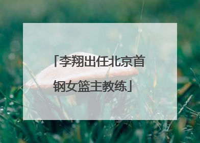 李翔出任北京首钢女篮主教练