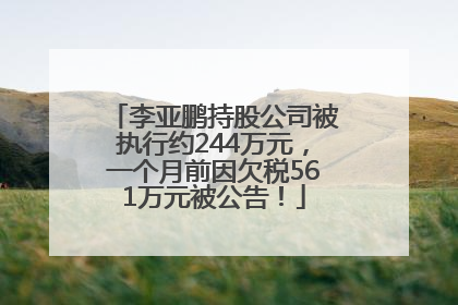 李亚鹏持股公司被执行约244万元，一个月前因欠税561万元被公告！