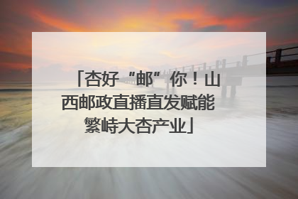 杏好“邮”你！山西邮政直播直发赋能繁峙大杏产业