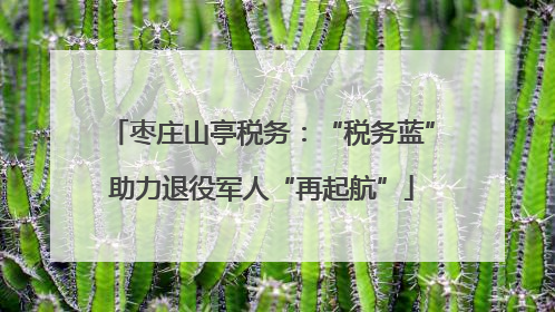 枣庄山亭税务：“税务蓝”助力退役军人“再起航”