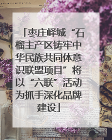 枣庄峄城“石榴主产区铸牢中华民族共同体意识联盟项目”将以“六联”活动为抓手深化品牌建设