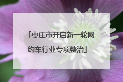 枣庄市开启新一轮网约车行业专项整治