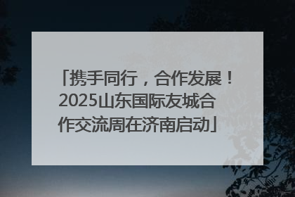 携手同行，合作发展！2025山东国际友城合作交流周在济南启动