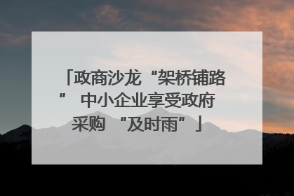 政商沙龙“架桥铺路” 中小企业享受政府采购 “及时雨”