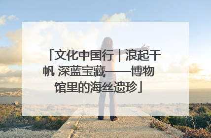 文化中国行｜浪起千帆 深蓝宝藏——博物馆里的海丝遗珍