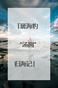 斑海豹“汤圆”归海记