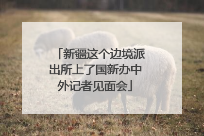 新疆这个边境派出所上了国新办中外记者见面会