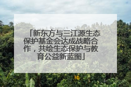 新东方与三江源生态保护基金会达成战略合作，共绘生态保护与教育公益新蓝图