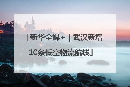 新华全媒+｜武汉新增10条低空物流航线