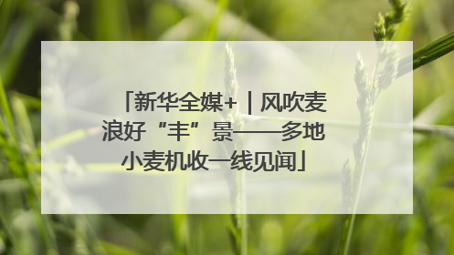 新华全媒+｜风吹麦浪好“丰”景——多地小麦机收一线见闻