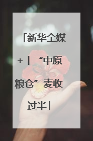 新华全媒+丨“中原粮仓”麦收过半