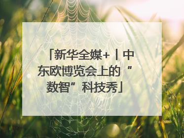 新华全媒+丨中东欧博览会上的“数智”科技秀