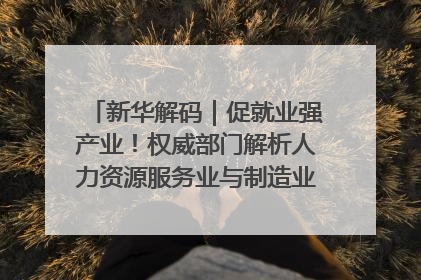 新华解码｜促就业强产业！权威部门解析人力资源服务业与制造业融合发展试点