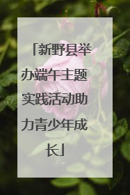 新野县举办端午主题实践活动助力青少年成长