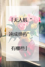 无人机“速成弹药”有哪些