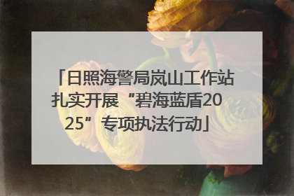 日照海警局岚山工作站扎实开展“碧海蓝盾2025”专项执法行动