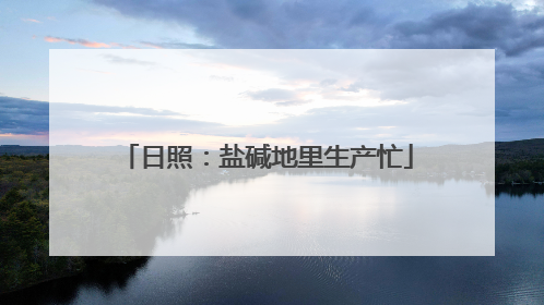 日照：盐碱地里生产忙