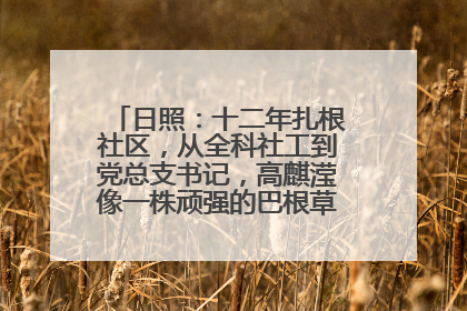 日照：十二年扎根社区，从全科社工到党总支书记，高麒滢像一株顽强的巴根草，把根深深扎进基层的土壤——“巴根草书记”的夏日叙事
