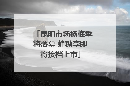 昆明市场杨梅季将落幕 蜂糖李即将接档上市