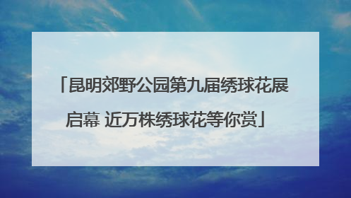 昆明郊野公园第九届绣球花展启幕 近万株绣球花等你赏