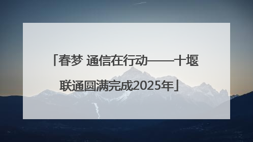 春梦 通信在行动——十堰联通圆满完成2025年