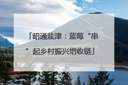 昭通盐津：蓝莓“串”起乡村振兴增收链