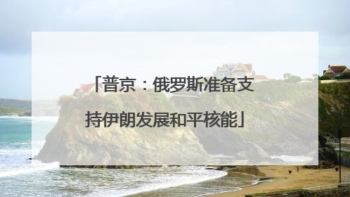 普京：俄罗斯准备支持伊朗发展和平核能