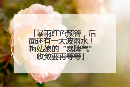 暴雨红色预警，后面还有一大波雨水！梅姑娘的“暴脾气”收敛要再等等