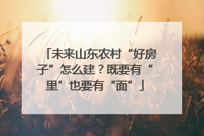 未来山东农村“好房子”怎么建？既要有“里”也要有“面”